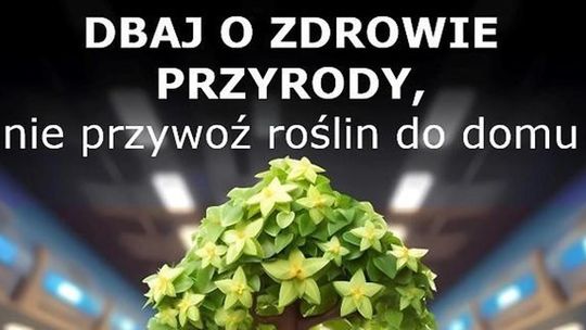 Dbaj o zdrowie roślin !