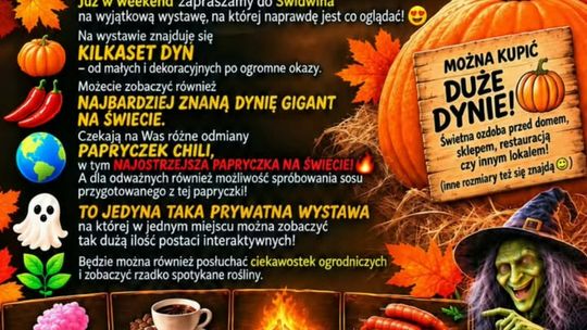 Wyjątkowa Wystawa Dyń w Świdwinie.