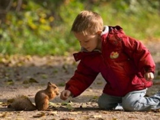 260 przedszkoli w województwie zachodniopomorskim uczy dzieci jak dbać o naturę 