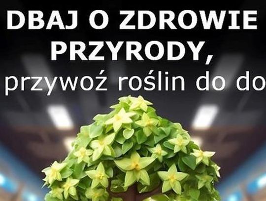 Dbaj o zdrowie roślin !