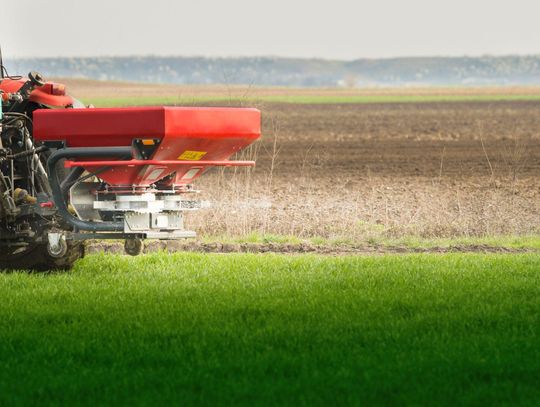 Eliminacja chwastów dwuliściennych po wschodach rzepaku
