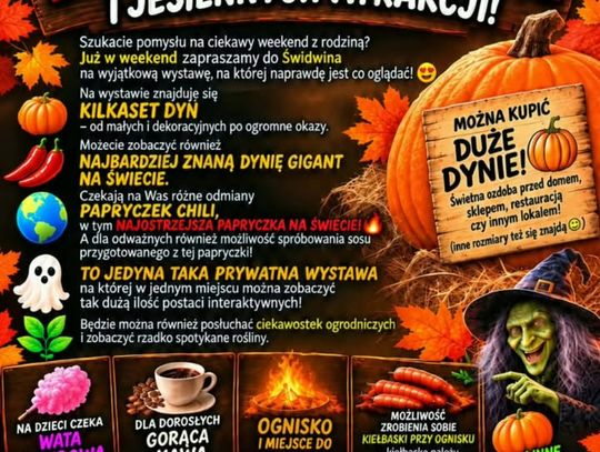Wyjątkowa Wystawa Dyń w Świdwinie.