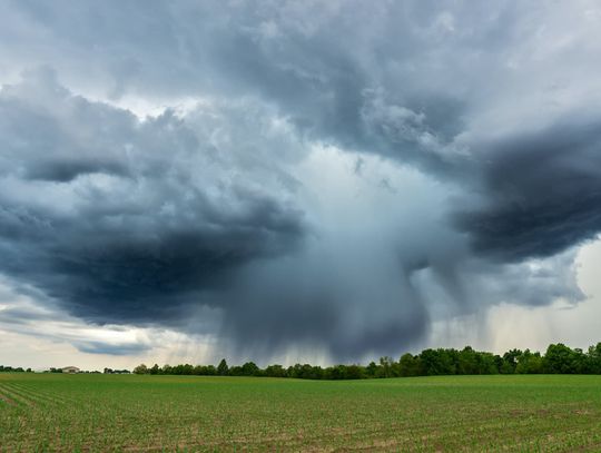 Zmiany klimatu a Wspólna Polityka Rolna