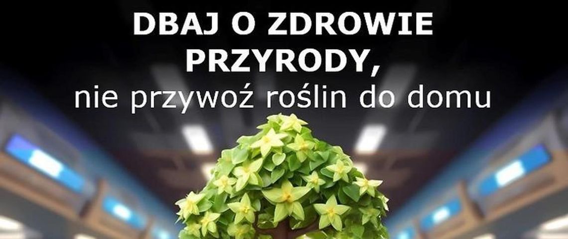 Dbaj o zdrowie roślin !