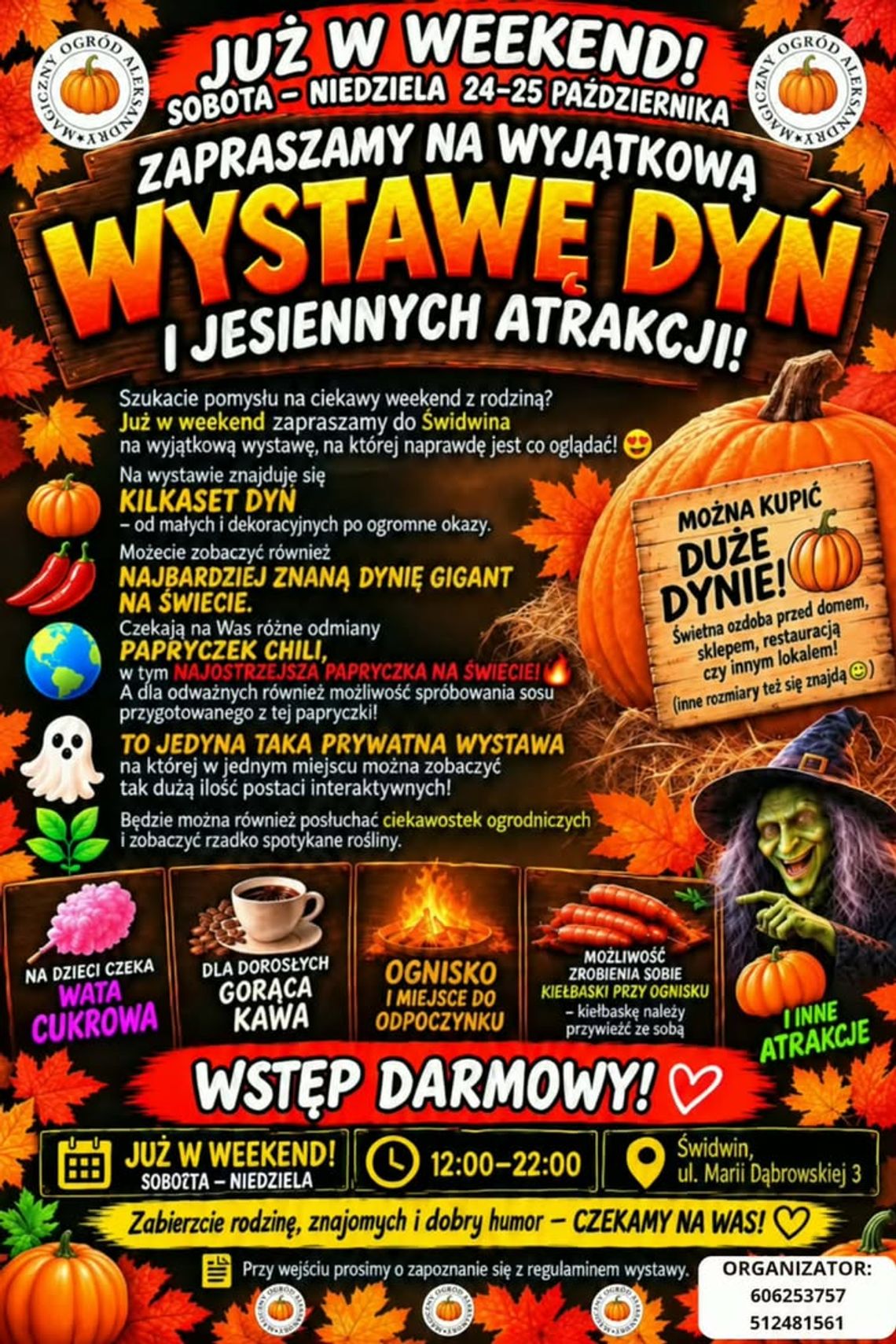 Wyjątkowa Wystawa Dyń w Świdwinie. Wyjątkowa Wystawa Dyń w Świdwinie.