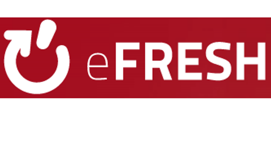 Agencja Interaktywna eFresh - projektowanie i tworzenie stron www