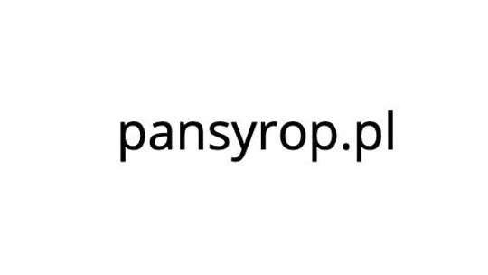 Pansyrop.pl - produkty dla gastronomii