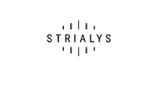 Producent Strialys