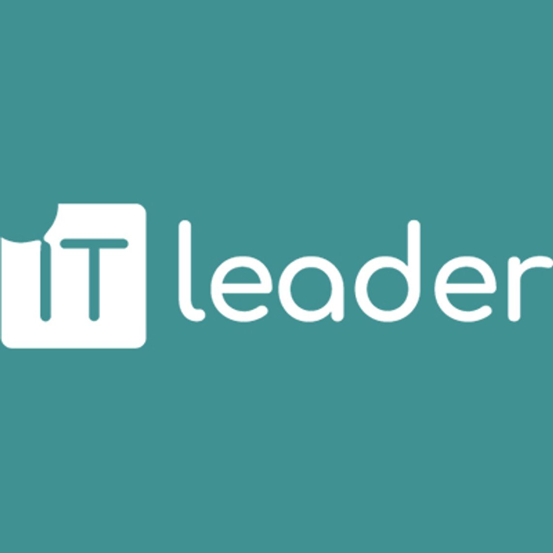 IT Leader - kopie zapasowe dla firm