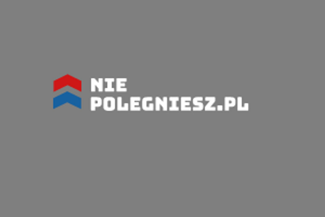 Niepolegniesz.pl - serwis biznesowo-finansowy