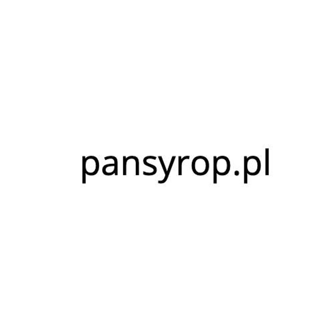 Pansyrop.pl - produkty dla gastronomii