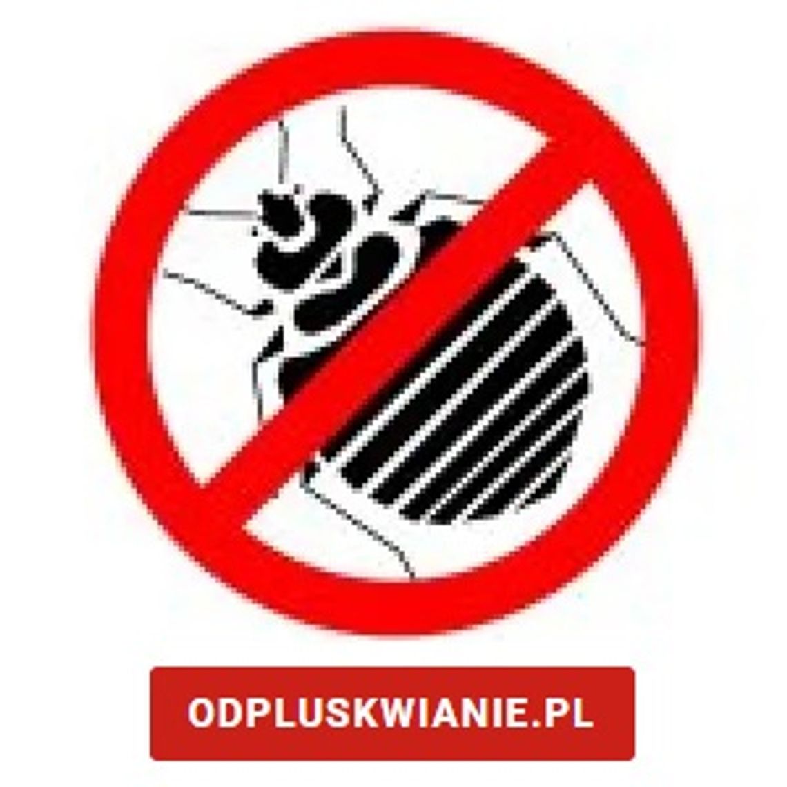 Usuwanie pluskiew - odpluskwianie.pl